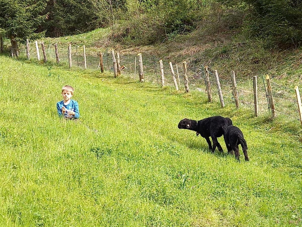 Ferienwohnungen Weberbauer Sankt Martin bei Lofer Eksteriør billede